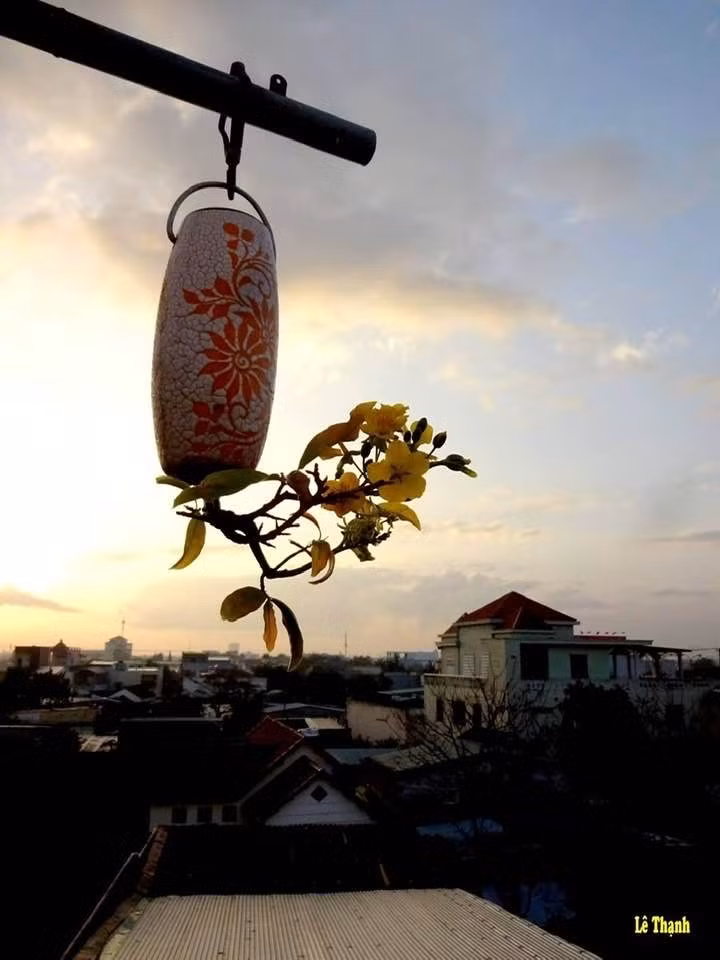 Điều đặc biệt là những gốc bonsai đều chúc ngược xuống dưới vô cùng độc đáo. Ảnh: FB Lê Thạnh