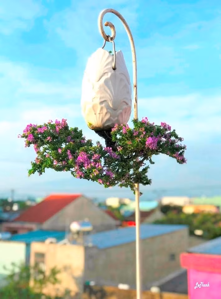 Khu ban công và sân thượng rộng khoảng 80 m2 được ông sử dụng làm không gian sáng tạo, trưng bày khoảng 100 chậu bonsai ngược. Ảnh: FB Lê Thạnh