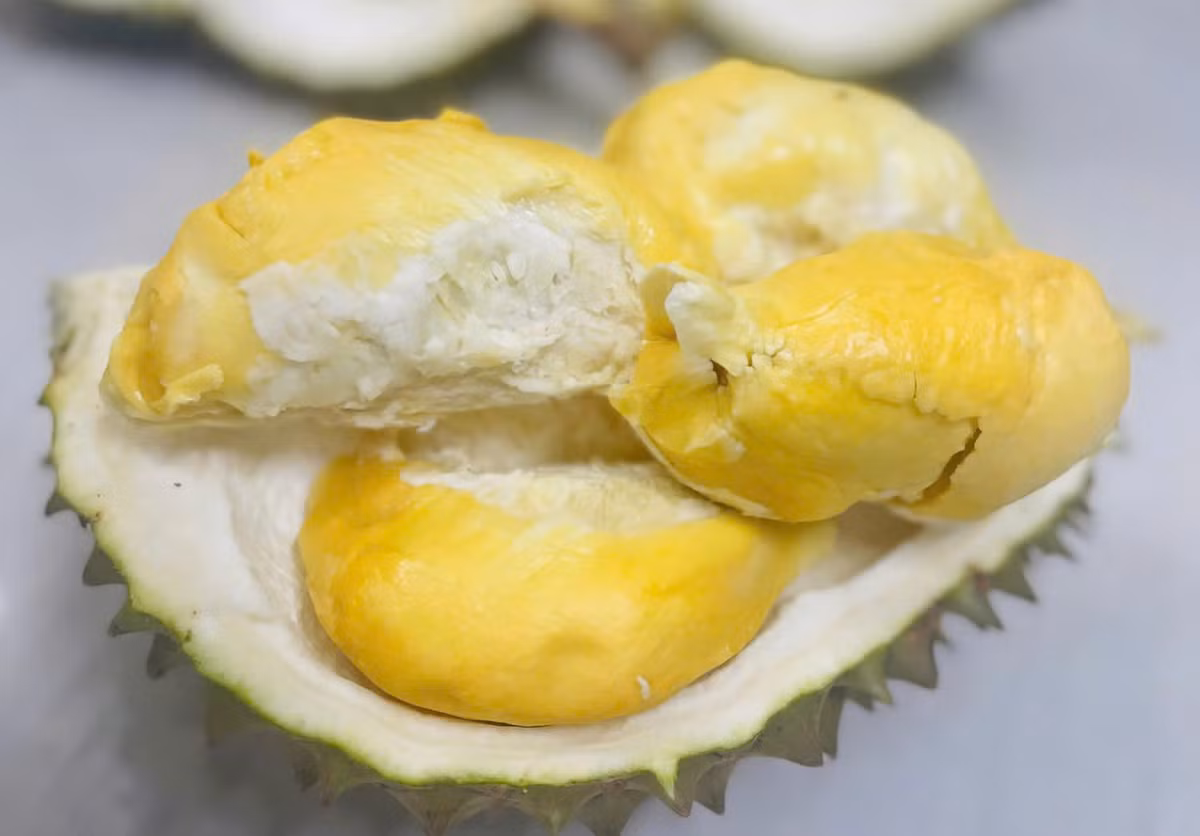 Loại sầu riêng này có giá cao ngất ngưởng vì ưu điểm vượt trội so với các giống sầu riêng khác trên thị trường. Ảnh: Người lao động