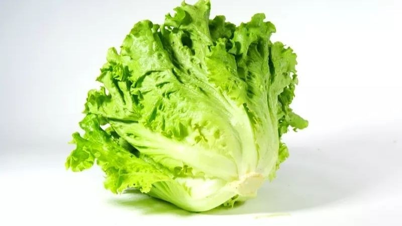 Tại các chợ dân sinh hay siêu thị, rau xà lách có giá khoảng 10.000 - 40.000 đồng/kg. Ảnh: Internet