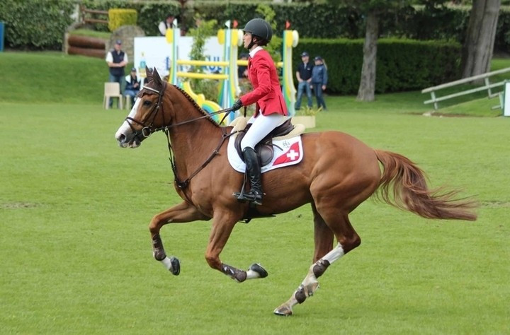 Không thuộc dòng ngựa đua thuần túy, Palloubet D’halong nổi tiếng trong bộ môn biểu diễn cưỡi ngựa và được bán với giá 15 triệu USD vào năm 2013. Chú ngựa được vận động viên Olympic Jan Tops mua tặng vợ là tay đua Edwina Alexander. Ảnh: Sothebysrealty