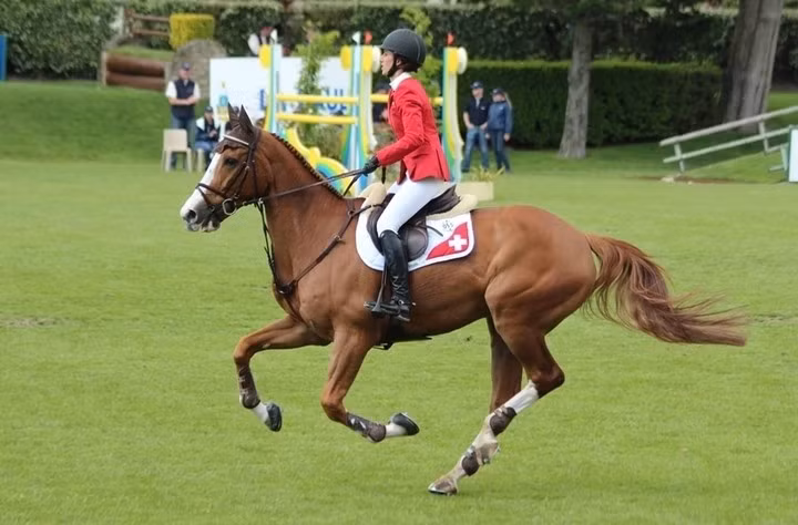 Không thuộc dòng ngựa đua thuần túy, Palloubet D’halong nổi tiếng trong bộ môn biểu diễn cưỡi ngựa và được bán với giá 15 triệu USD vào năm 2013. Chú ngựa được vận động viên Olympic Jan Tops mua tặng vợ là tay đua Edwina Alexander. Ảnh: Sothebysrealty