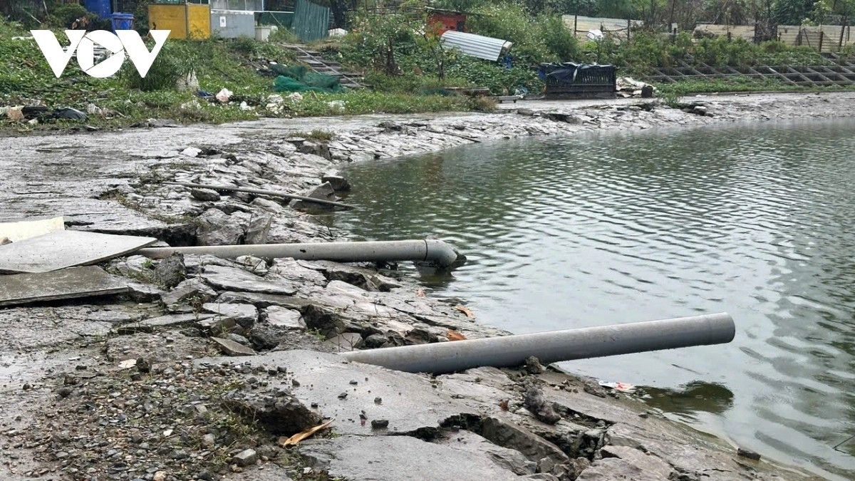 Nền xi măng đầy bùn, nước đọng, rêu xanh phủ kín.