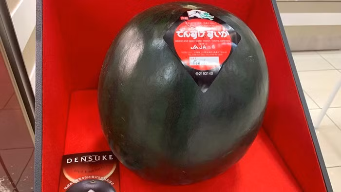 Quả dưa hấu Densuke đắt nhất trong lịch sử đã được bán vào năm 2019 với mức giá kỷ lục 750.000 Yên Nhật (tương đương 6.000 USD, hay khoảng 160 triệu đồng). Ảnh: Food Republic