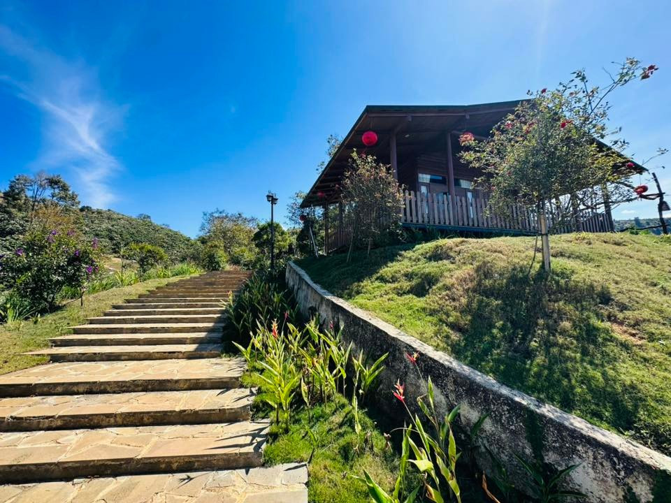 Một góc bình yên, xanh mướt tựa khu nghỉ dưỡng trong biệt phủ của Hoàng Mập. Ảnh: FBNV