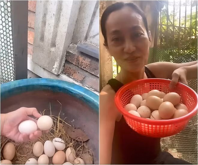 Nữ nghệ sĩ thích thú khoe trứng gà thu hoạch từ khu vườn. Ảnh: FBNV >>> Mời độc giả xem video: nhà 25m2 - cơ hội cho nhiều người. Nguồn: VTv24