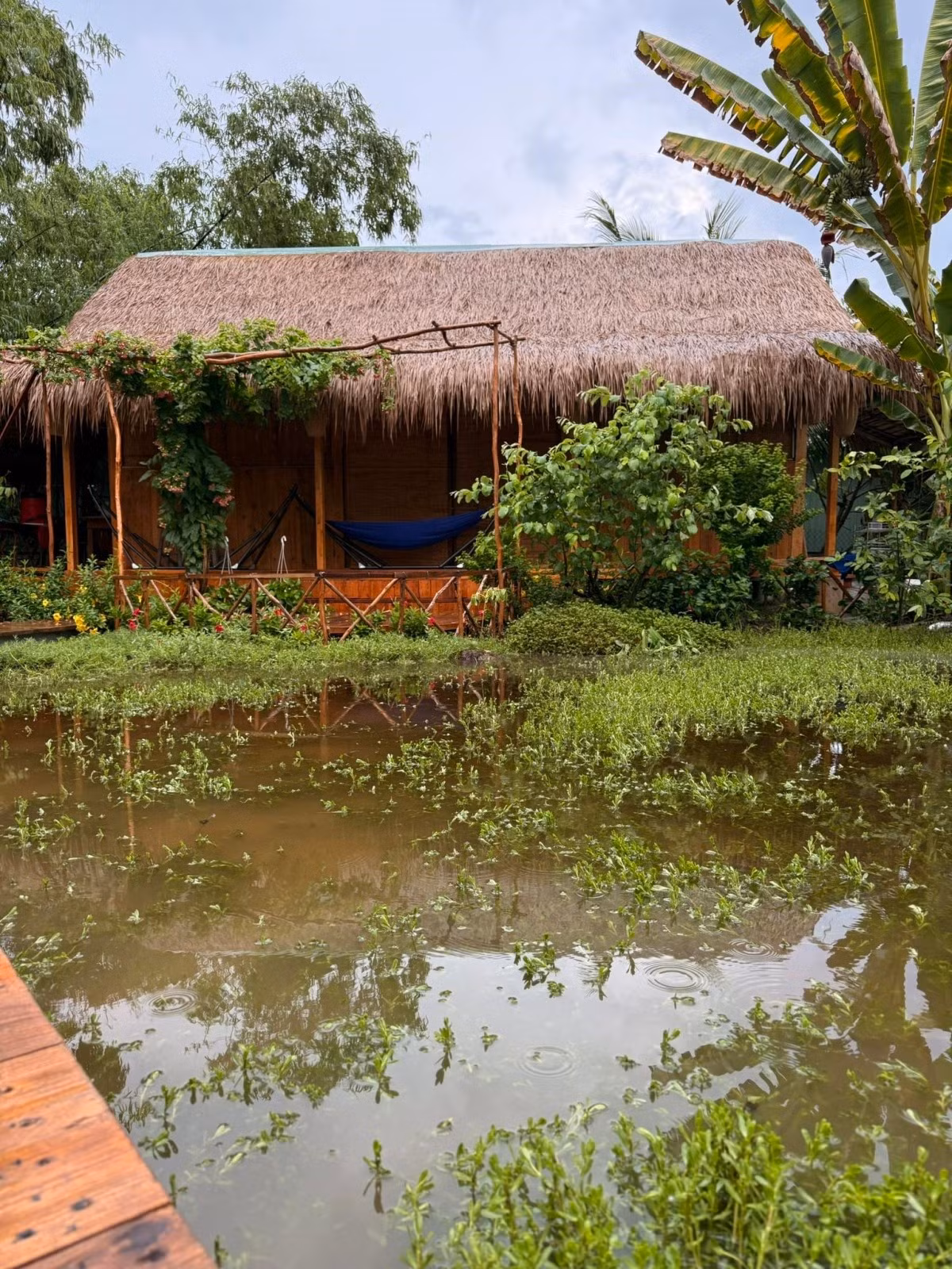 Phía sau nhà, Huỳnh Anh Tuấn đào ao thả cá, tạo khung cảnh lãng mạn, đậm chất miền Tây. Ảnh: FB Huỳnh Anh Tuấn