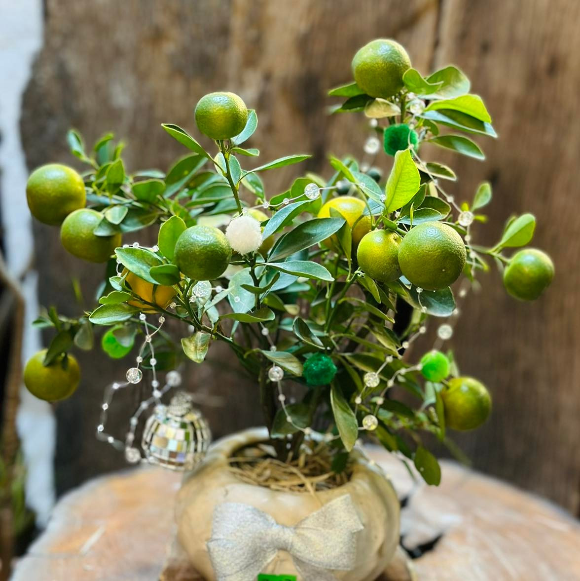 Mặc dù cây nhỏ nhưng các nhà vườn vẫn tạo hình đa dạng để phù hợp phong thủy và sở thích của khách hàng. Ảnh: Facebook