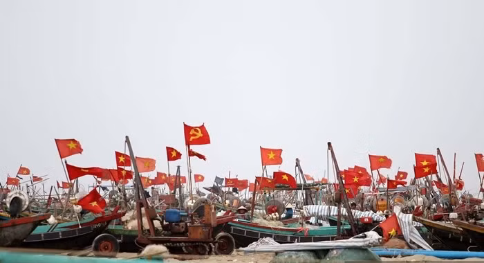 Theo nhiều ngư dân địa phương, cá trích thường bắt đầu từ khoảng tháng giêng đến tháng 5 âm lịch. Thời điểm này, đàn cá trích theo dòng nước di chuyển vào gần bờ, tạo điều kiện thuận lợi cho việc đánh bắt. Ảnh: Dân Việt