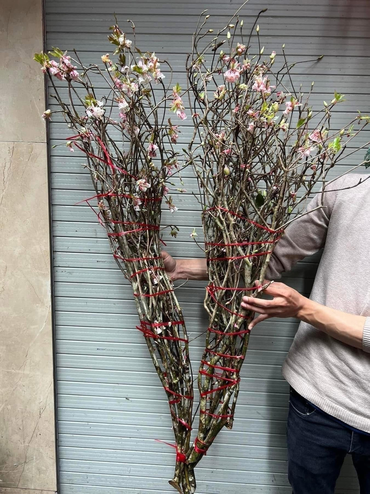 Những cành đào chuông nhỏ, ít nụ thường có giá từ vài trăm nghìn đồng/cành. Ảnh: FB Vũ Huyền