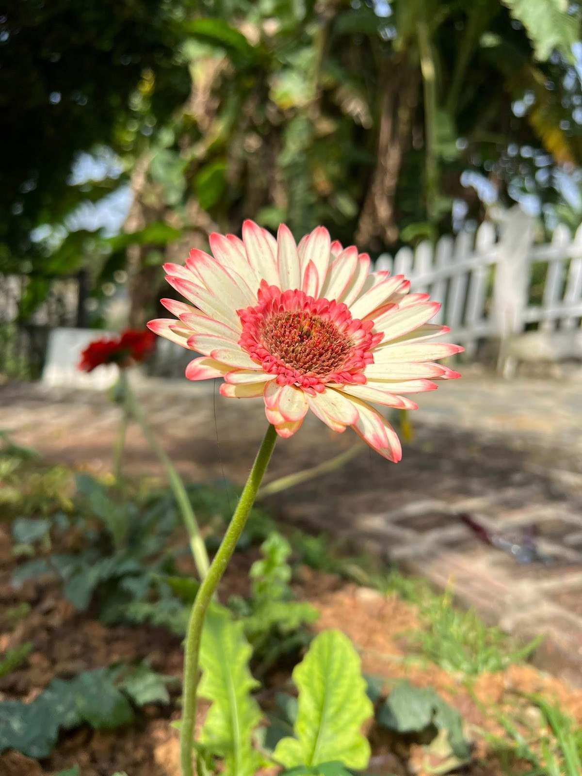 Cuối tuần, gia đình nữ MC thường về đây để tận hưởng không khí trong lành, tách biệt khỏi sự ồn ào của phố thị. Ảnh: FB Dang Diem Quynh