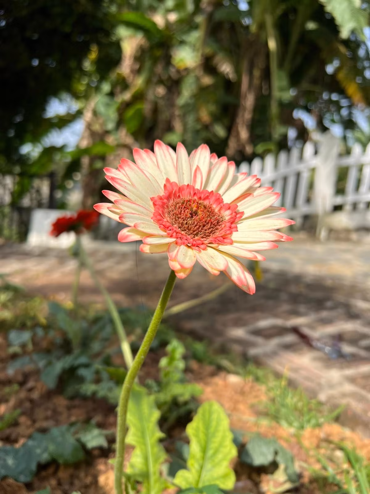 Cuối tuần, gia đình nữ MC thường về đây để tận hưởng không khí trong lành, tách biệt khỏi sự ồn ào của phố thị. Ảnh: FB Dang Diem Quynh