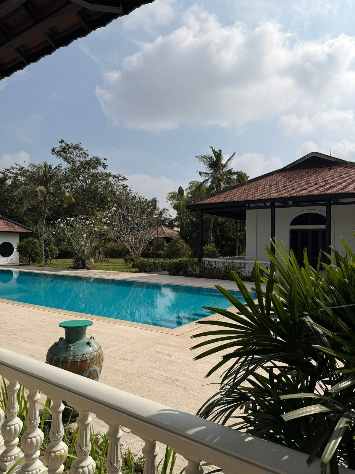 Hồ bơi nước trong veo. Ảnh: FB Chi Bảo