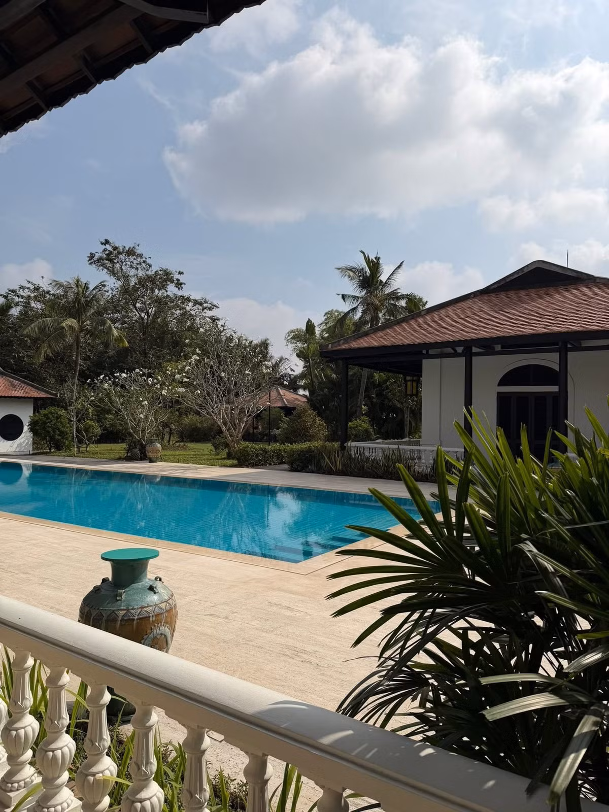 Hồ bơi nước trong veo. Ảnh: FB Chi Bảo