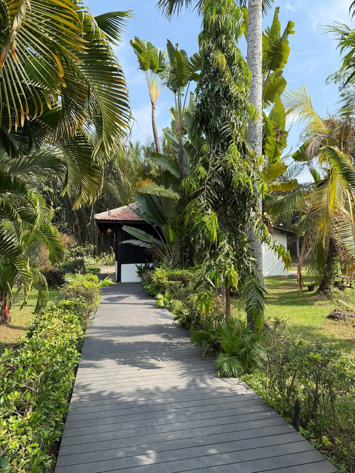 Sân vườn được cắt tỉa gọn gàng. Ảnh: FB Chi Bảo