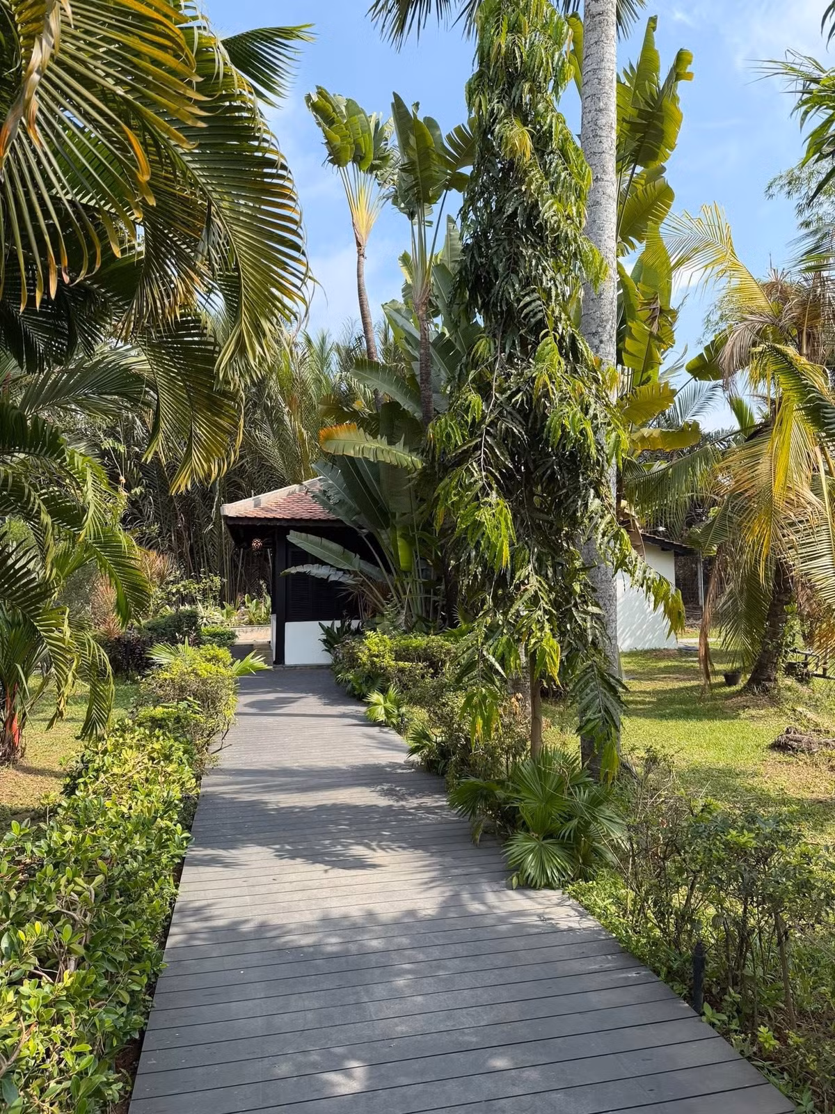 Sân vườn được cắt tỉa gọn gàng. Ảnh: FB Chi Bảo