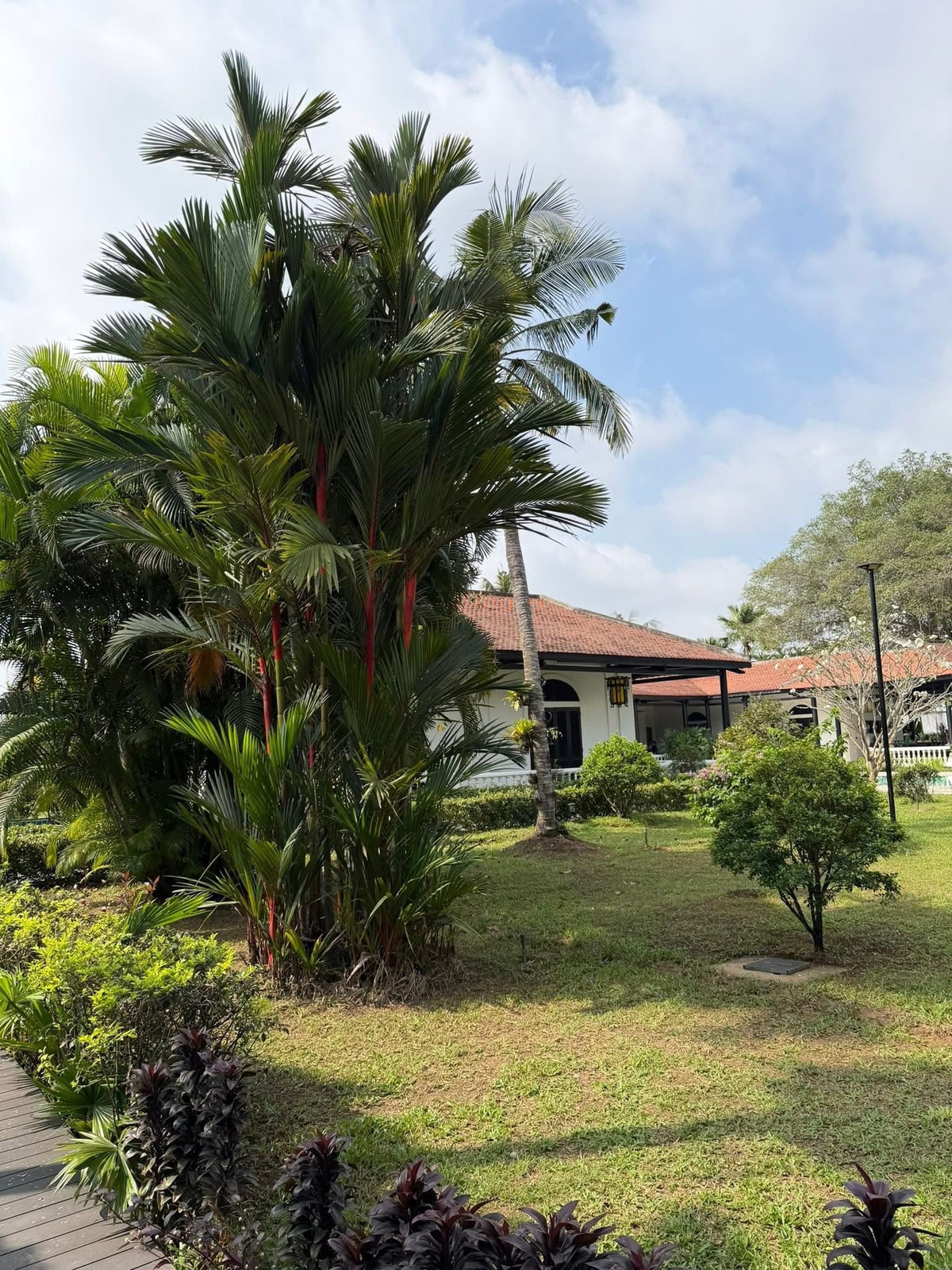 Ngoài khu nghỉ dưỡng 120 ha tại Côn Đảo và căn biệt thự sân vườn 1.600m2 tại TP HCM, mới đây Chi Bảo vừa hé lộ căn nhà ở quê thu hút sự chú ý của nhiều người. Ảnh: FB Chi Bảo