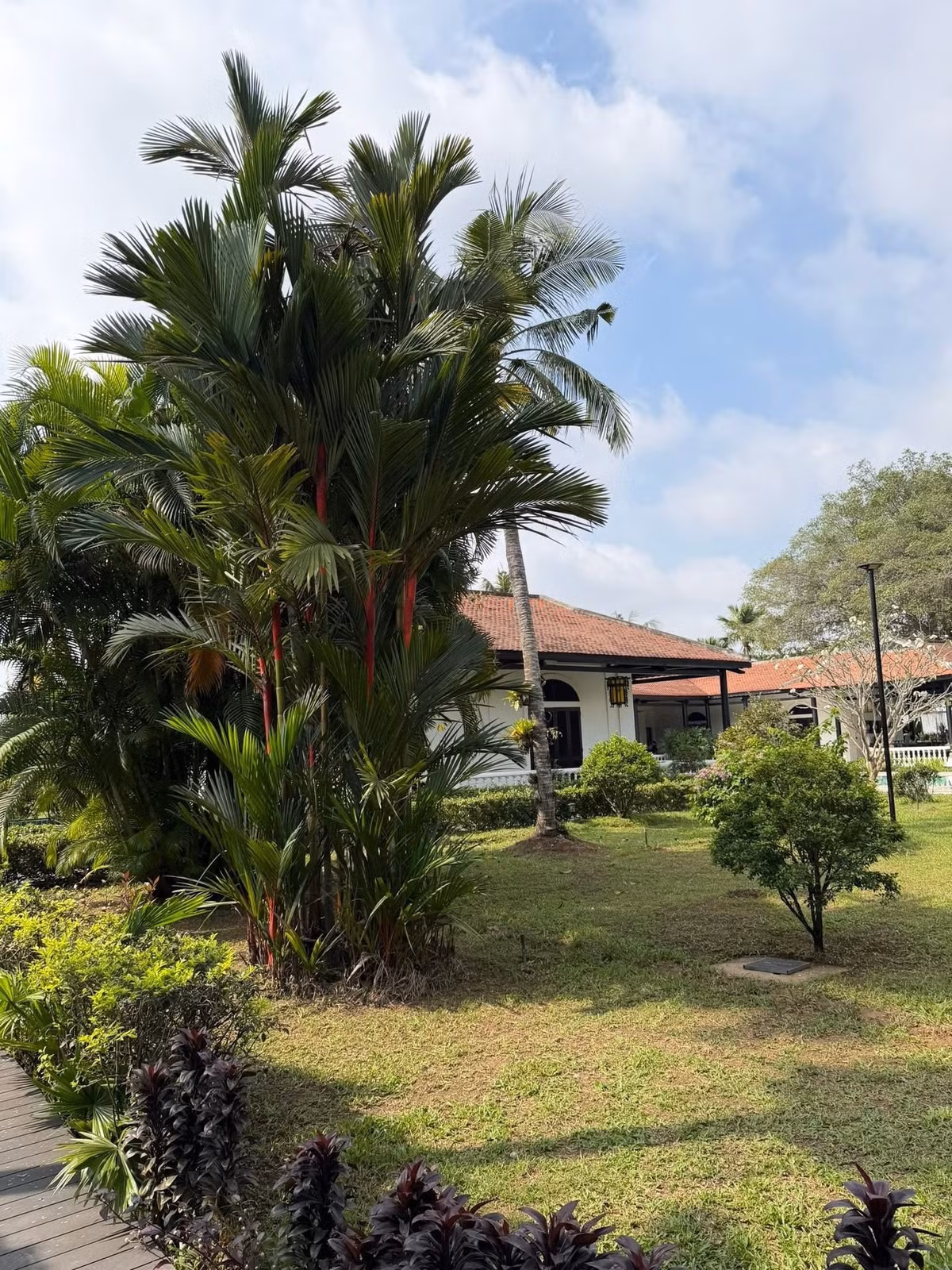 Ngoài khu nghỉ dưỡng 120 ha tại Côn Đảo và căn biệt thự sân vườn 1.600m2 tại TP HCM, mới đây Chi Bảo vừa hé lộ căn nhà ở quê thu hút sự chú ý của nhiều người. Ảnh: FB Chi Bảo