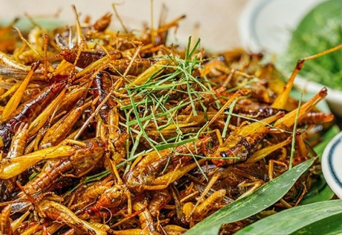 View - Đặc sản quê đắt ngang tôm hùm, có tiền chưa chắc mua được | Báo Tri thức và Cuộc sống - TIN TỨC PHỔ BIẾN KIẾN THỨC 24H