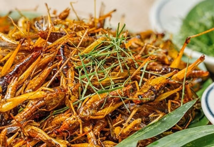 Trong đó, muồm muỗm chiên giòn, rắc thêm lá chanh thái nhỏ được xem như món nhậu khoái khẩu của cánh mày râu. Ảnh: Facebook