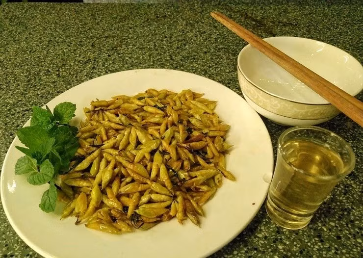 Ban đầu, không ít thực khách e ngại bởi hình dạng của nhộng. Tuy nhiên, khi được chế biến thành món ăn, nhộng có vị béo ngậy, bùi bùi, thoang thoảng hương lá rừng. Ảnh: Dân Việt