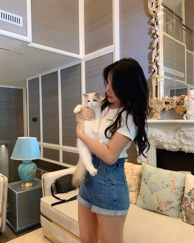 Bên cạnh đó, biệt thự còn có phòng dành riêng cho thú cưng và một dãy phòng dành cho nhân viên hỗ trợ. Ảnh: Baidu