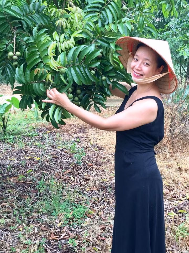 Nhờ chăm sóc kỹ nên cây và quả không có sâu bệnh. Ảnh: FB Nguyễn Thị Chiều Xuân