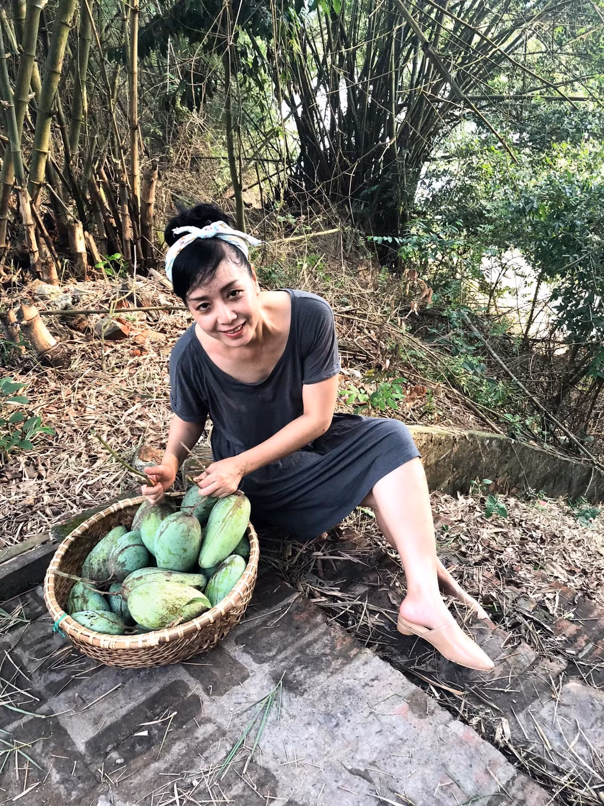 Quả xoài to, căng bóng, ngót nghét hơn 1 kg. Ảnh: FB Nguyễn Thị Chiều Xuân