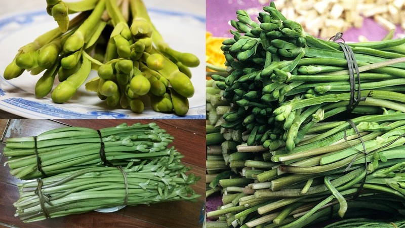 Trước kia, người dân miền Tây thường hái kèo nèo về ăn chống đói, ăn không hết cho gà, lợn ăn. Ảnh: Dân Việt