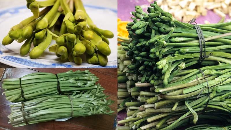 Trước kia, người dân miền Tây thường hái kèo nèo về ăn chống đói, ăn không hết cho gà, lợn ăn. Ảnh: Dân Việt