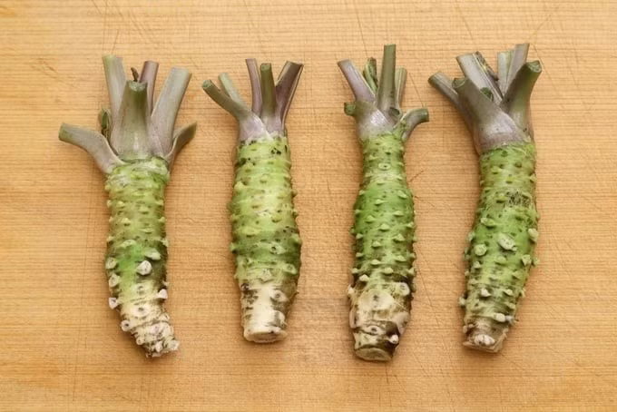 Anh Nguyễn Văn Tuyển – chủ một nông trại ở Lâm Đồng là một trong những người tiên phong trồng wasabi thành công ở Việt Nam. Ảnh: Người đua tin