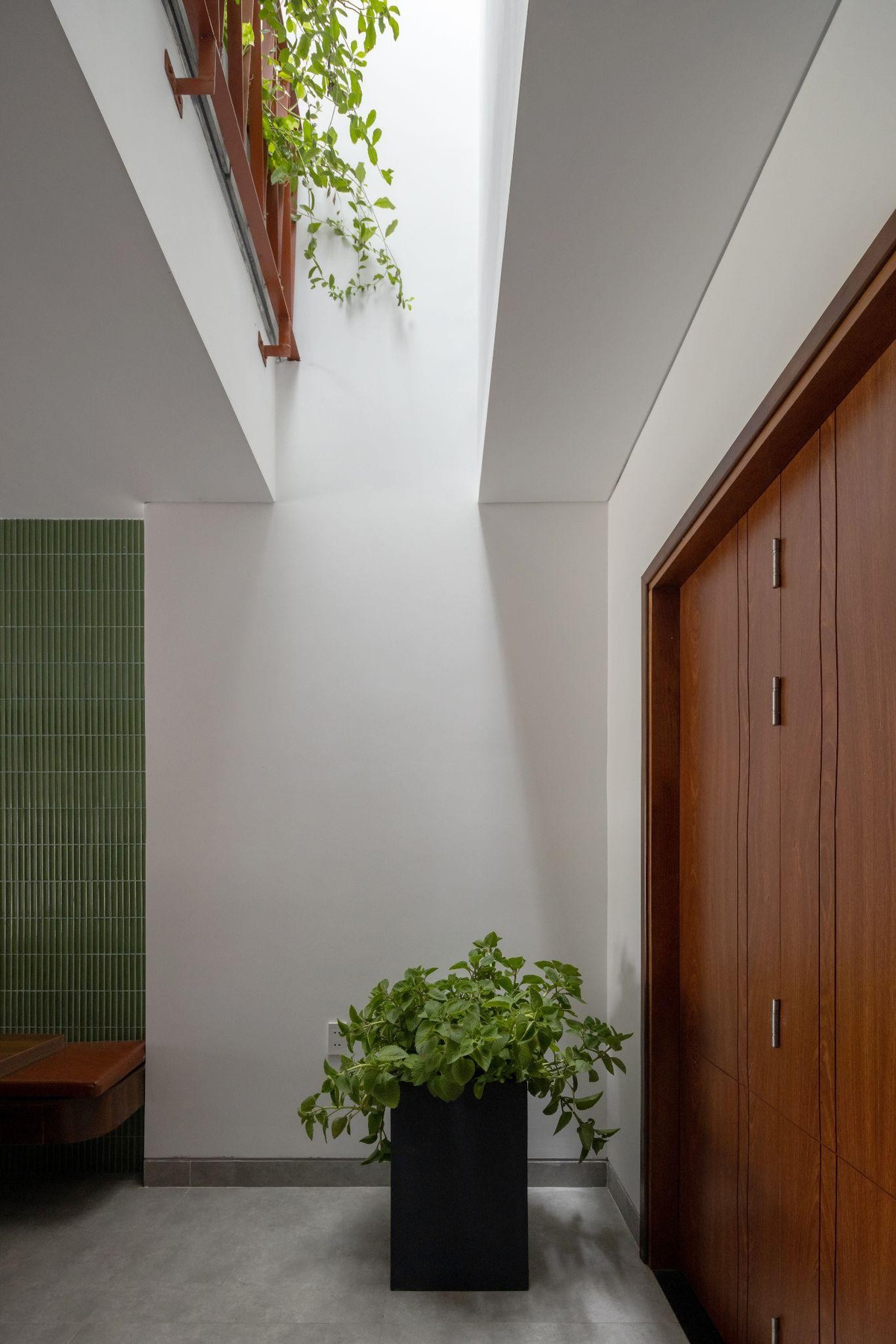 Cây xanh được trồng xen kẽ tạo không gian mát lành. Ảnh: Hoangle