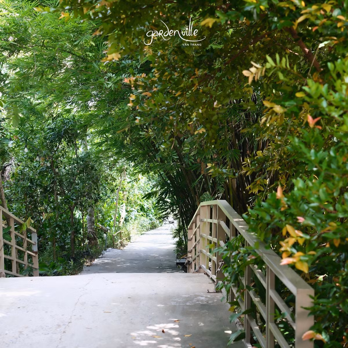 Ngoài cây ăn trái, Vân Trang còn cho trồng nhiều cây lâu năm. Ảnh: fanpage Garden Ville TIỀN GIANG