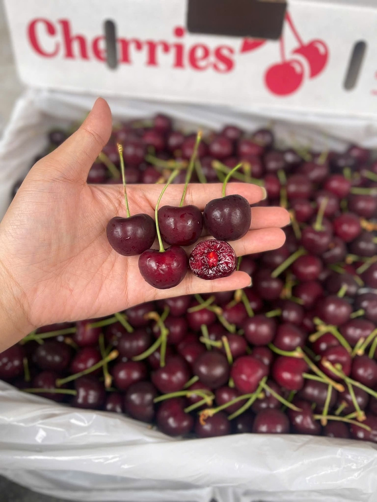 Trước đây, cherry Australia, Mỹ và New Zealand loại trái lớn thường có giá trên 2 triệu đồng/kg, nhưng hiện nay mức giá phổ biến chỉ còn 800.000-900.000 đồng/kg. Ảnh: Facebook