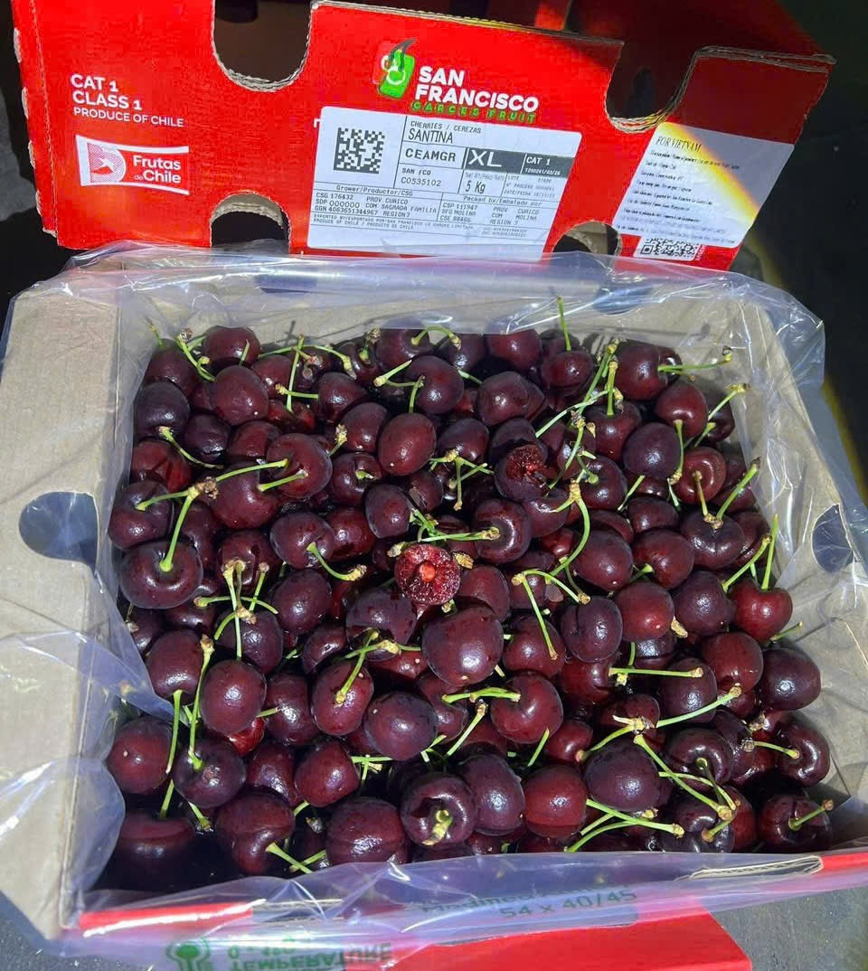 Riêng cherry Chile phân phối ở nhiều phân khúc, giá dao động từ 150.000 - 400.000 đồng/kg, phù hợp với khách hàng có ngân sách vừa phải. Ảnh: Facebook