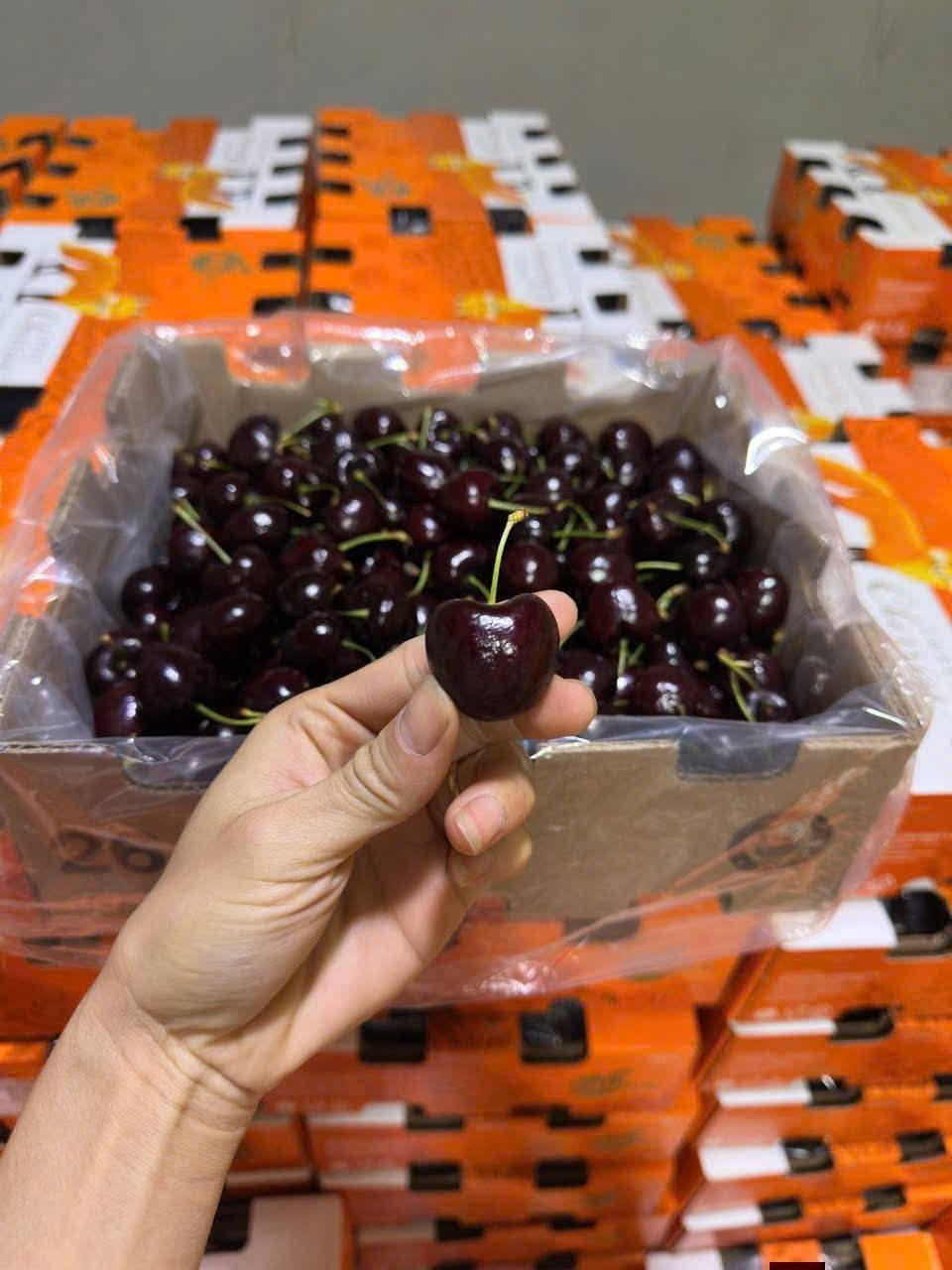 Trái cây từ Australia và New Zealand cũng ghi nhận mức tăng trưởng hai con số, góp phần giúp nguồn cung trên thị trường thêm dồi dào. Ảnh: Facebook