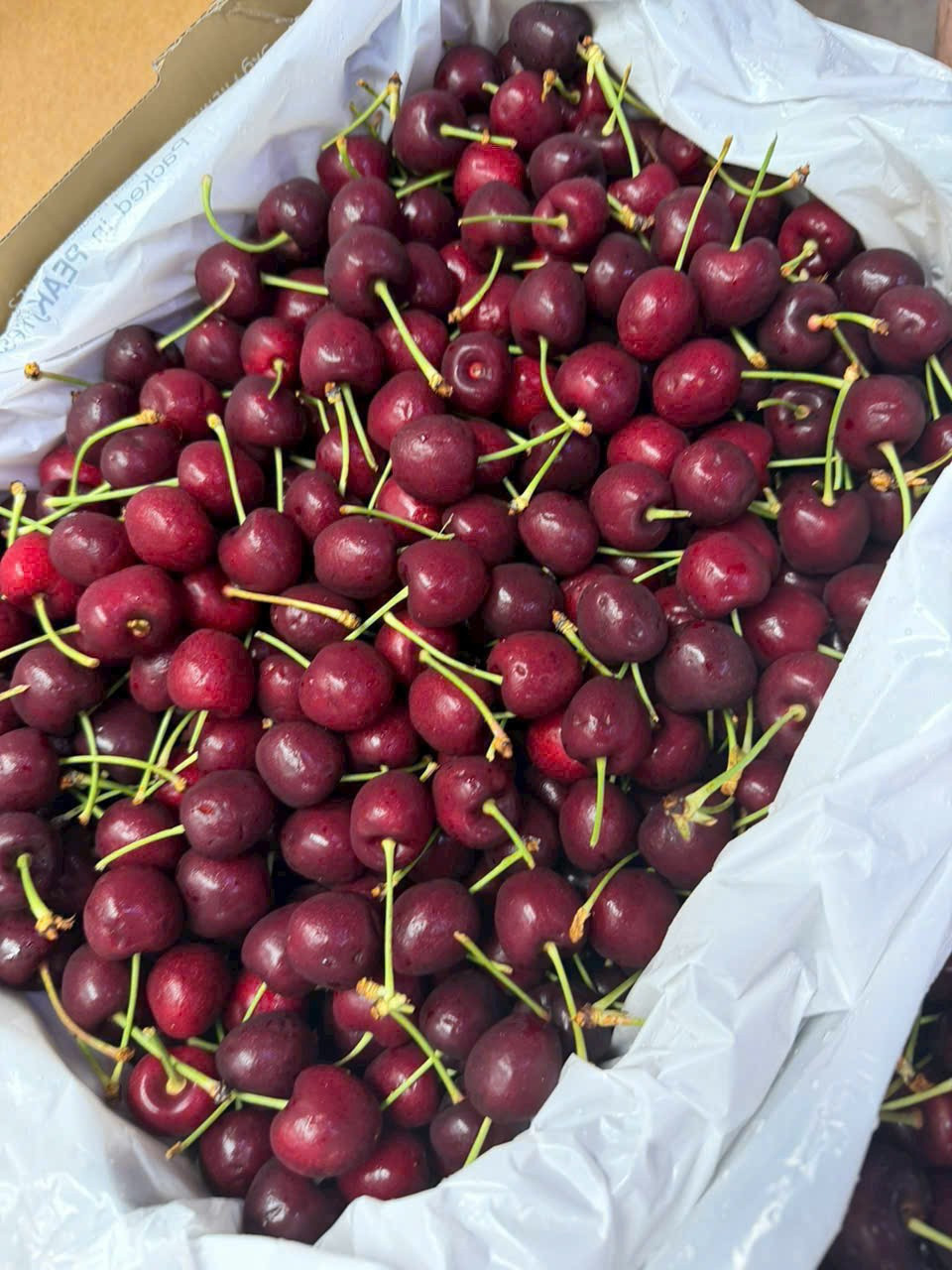 Một số chủ cửa hàng cho biết, nguồn cung cherry Mỹ năm nay dồi dào, giá rẻ hơn mọi năm, chưa đến 1 triệu đồng/kg. Ảnh: Facebook