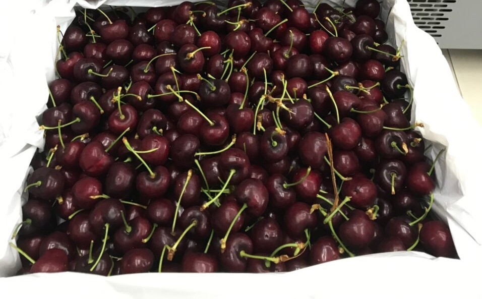 Tại một số hệ thống siêu thị bán lẻ như MM Mega Market hay Go!, giá cherry giảm từ 20-25% nhờ các chương trình khuyến mại. Ảnh: Facebook