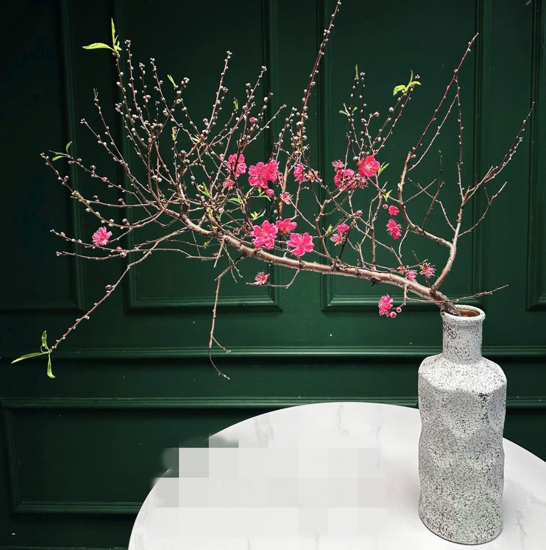 Giá đào huyền mini dao động từ 150.000 - 500.000 đồng, tùy kích thước. Ảnh: Facebook