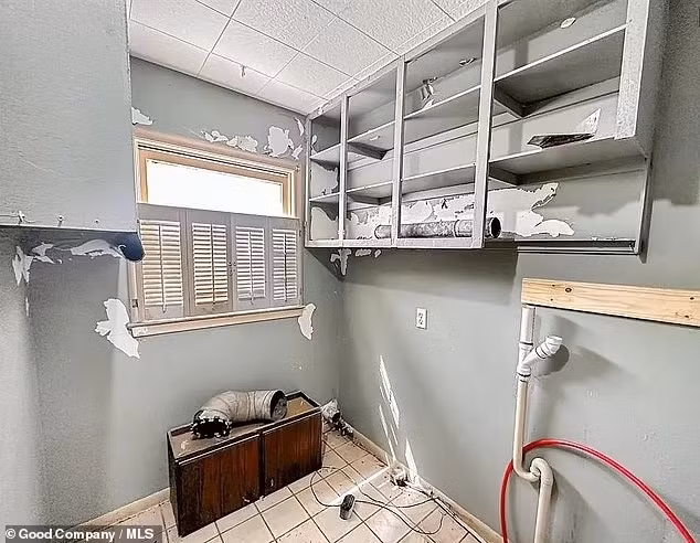 Ngôi nhà mang đến cơ hội cho những ai muốn tham gia vào cuộc phiêu lưu bất động sản thú vị. Ảnh: Good Company