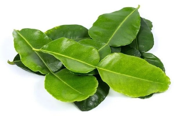 Tính ra, 100g lá chanh có giá khoảng 28 USD (700.000 đồng), 1kg sẽ có giá khoảng hơn 7 triệu đồng. Ảnh: Thực phẩm Tấn Tài