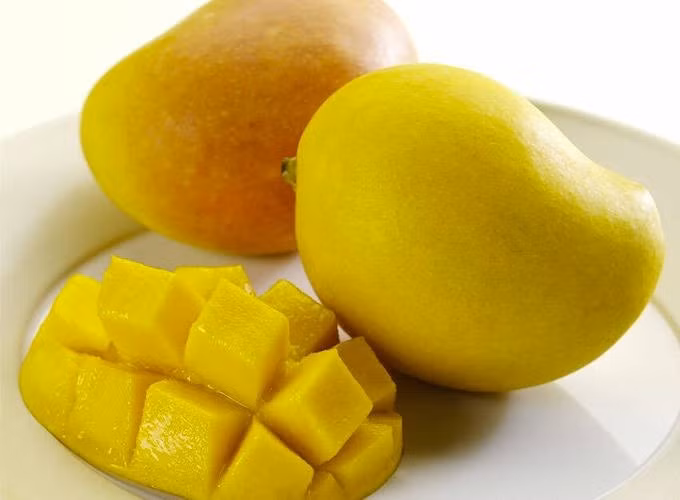 Giống xoài này quả to, cầm chắc tay, chín đều đẹp. Ảnh: Mangoes Australia