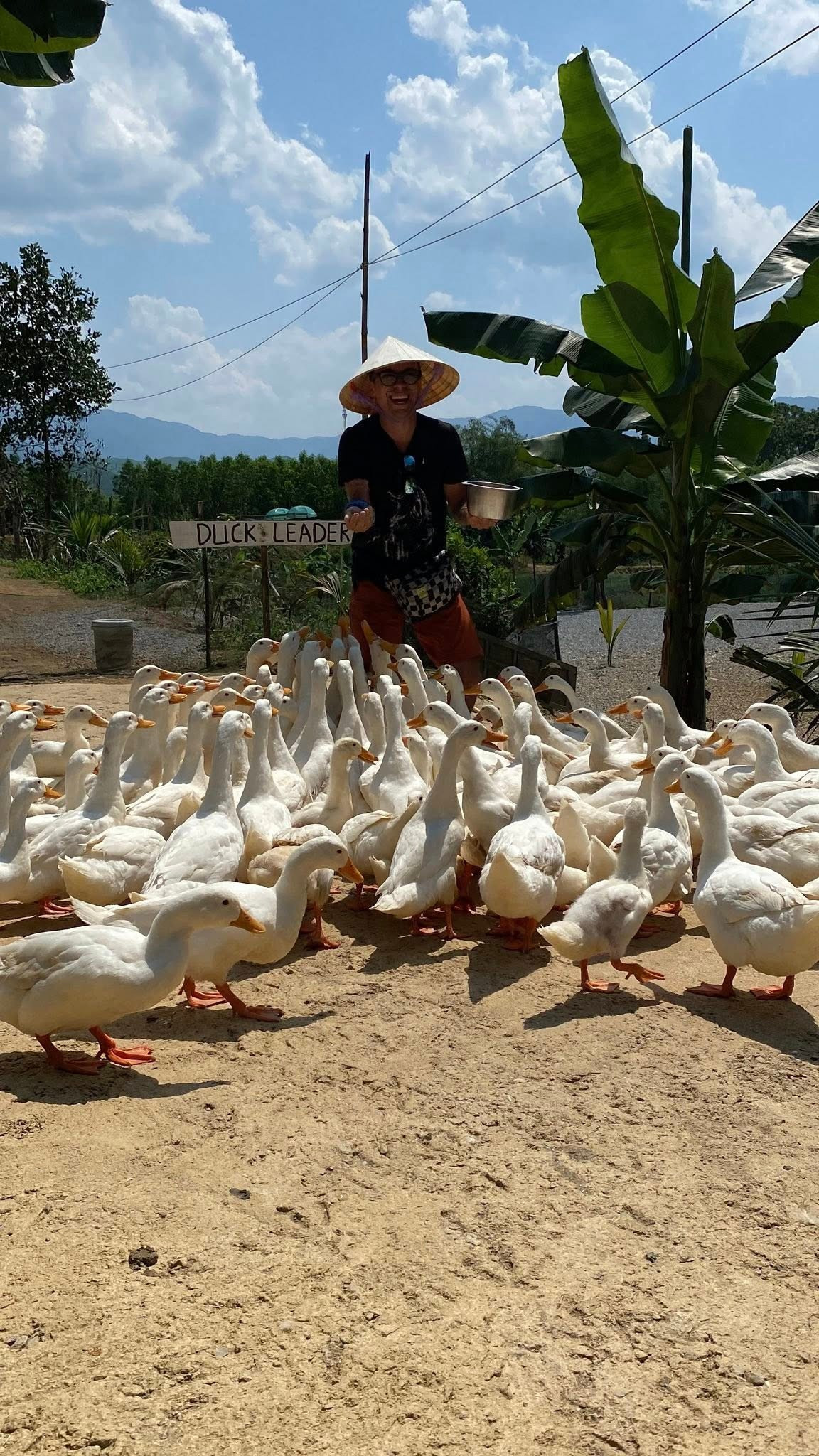 Nhiều du khách nước ngoài cho biết, đây là trải nghiệm rất thú vị. Ảnh: FB Duck Farm Phong Nha