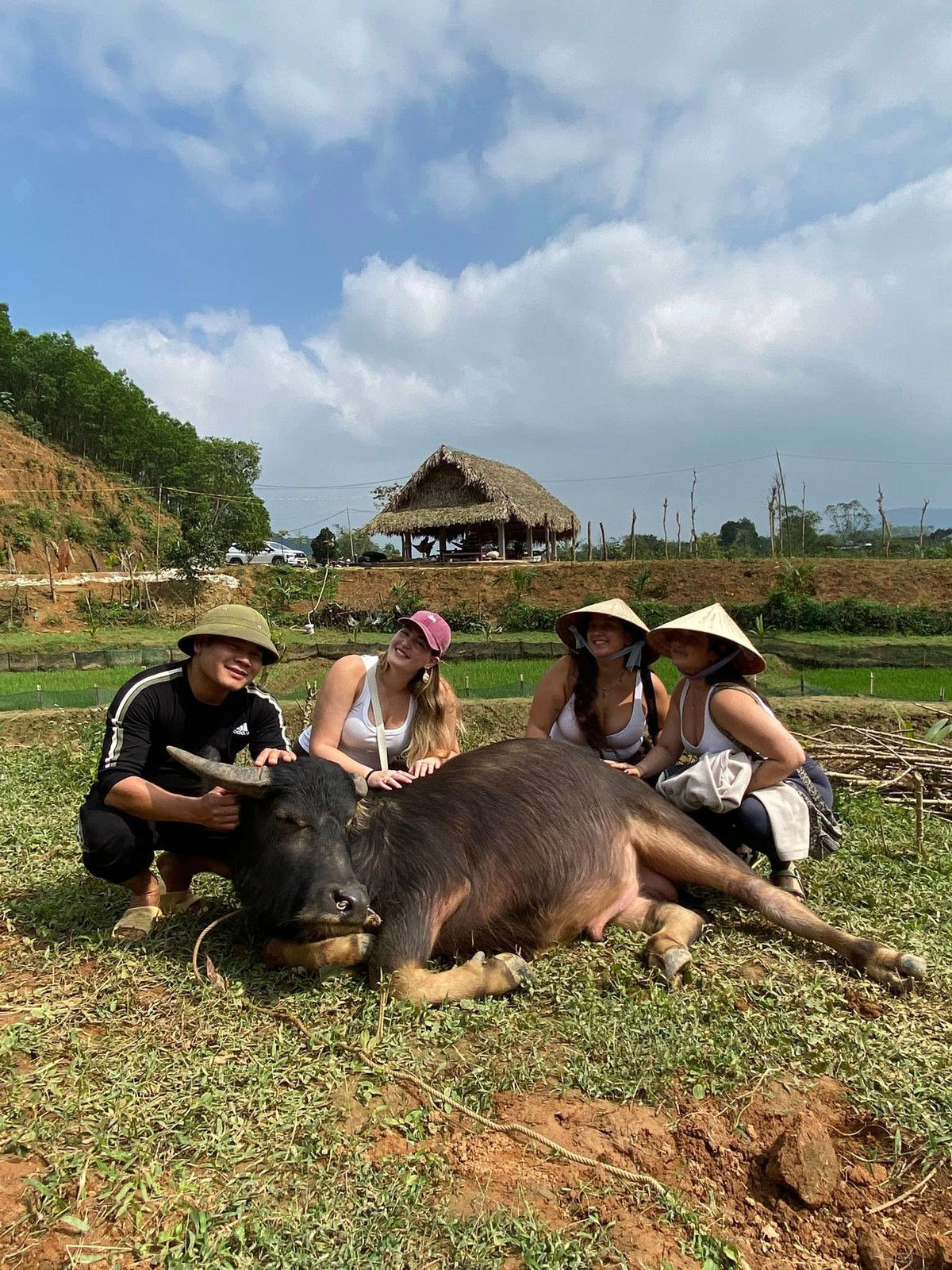 Ngoài dịch vụ massage vịt, du khách có thể tham gia cưỡi trâu. Ảnh: FB Duck Farm Phong Nha