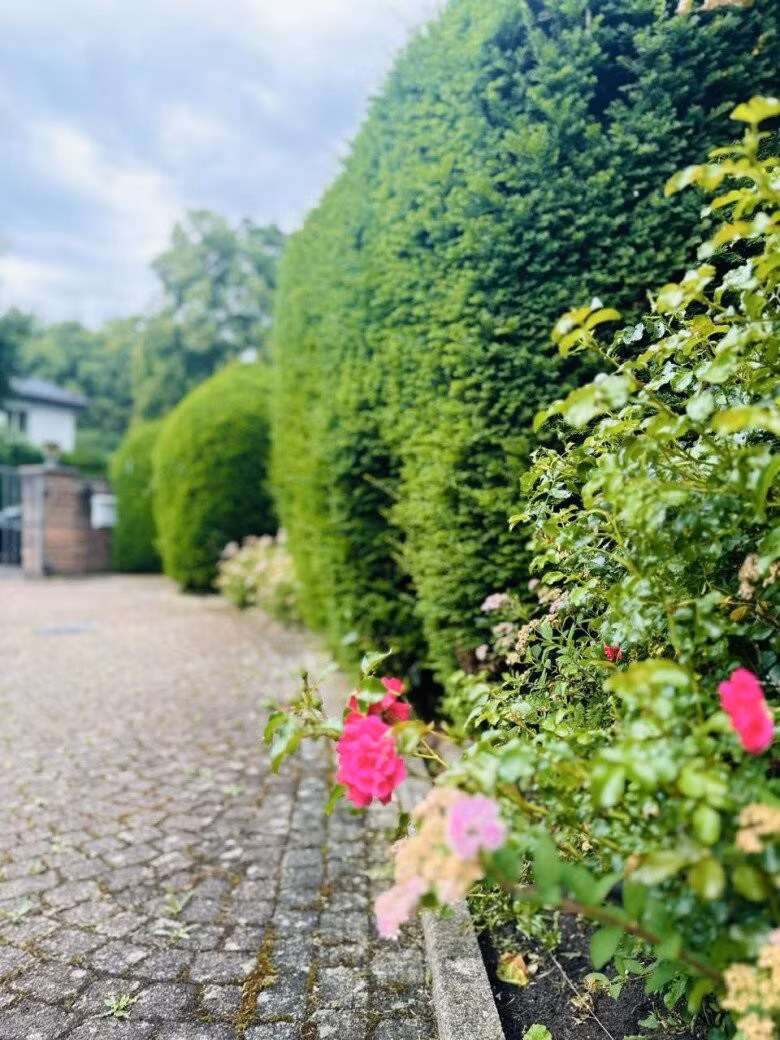 Dọc lối vào lát đá cùng sắc đỏ của hoa hồng điểm xuyết hoa dại, tạo vẻ thơ mộng như cổ tích. Ảnh: FB Hoàng Thị Mỹ Lệ