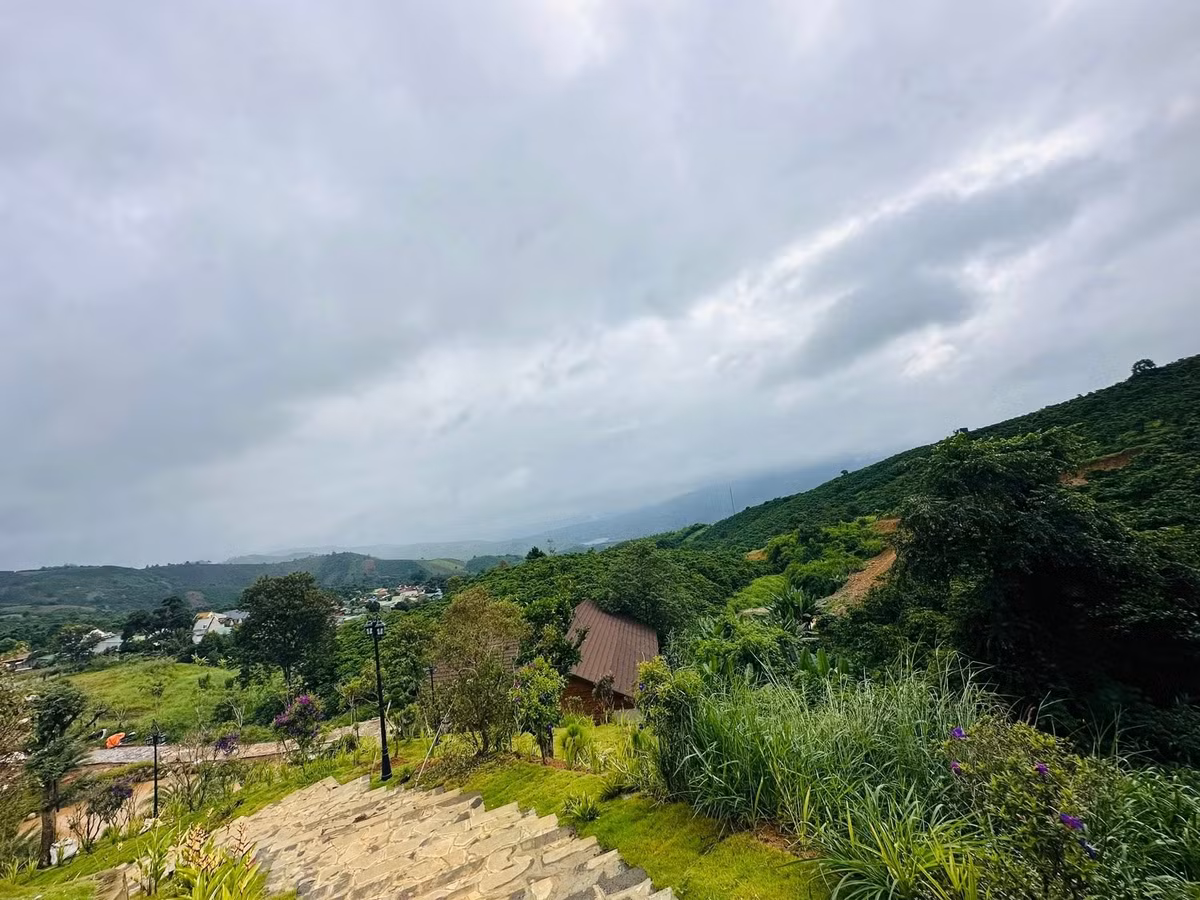 Ngôi nhà chính xây bằng gỗ, lợp mái ngói, có hiên rộng hóng gió và sân vườn bao quanh. Ảnh: FBNV