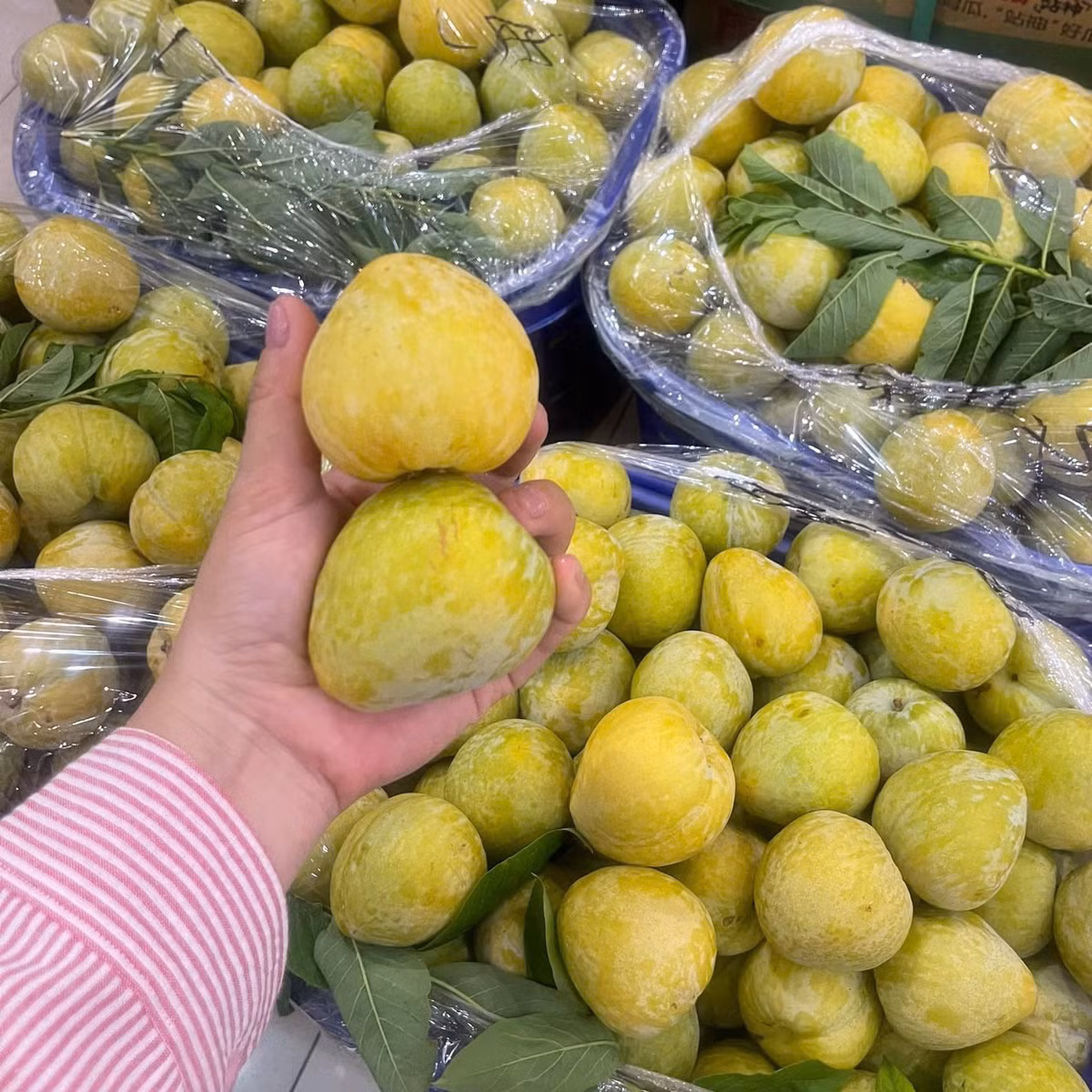 Mận cau Trung Quốc còn khá mới tại thị trường Việt. Loại mận này có đặc điểm vỏ màu xanh ngả vàng. Ảnh: Facebook