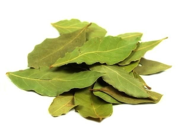 View - Loại lá rụng đầy vườn ở Việt Nam, ra nước ngoài 2 triệu đồng/kg | Báo Tri thức và Cuộc sống - TIN TỨC PHỔ BIẾN KIẾN THỨC 24H