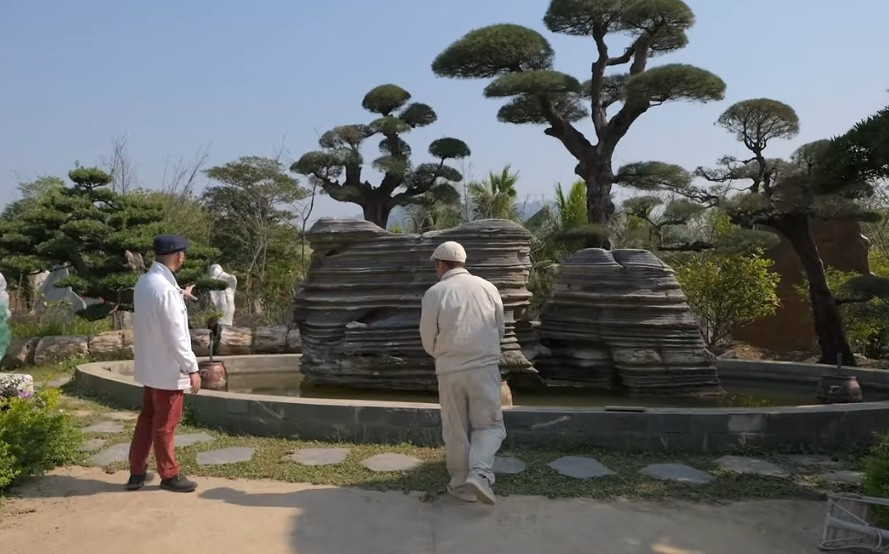 Điểm nhấn của không gian khu vườn là hội tụ các siêu phẩm như cây khế cổ thụ, vườn tùng La Hán, vườn hoa Anh Đào ... được tạo tác rất kỳ công. Ảnh chụp màn hình