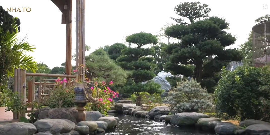 Góc nào trong vườn cũng trở thành địa điểm chụp ảnh đẹp mắt. Ảnh chụp màn hình